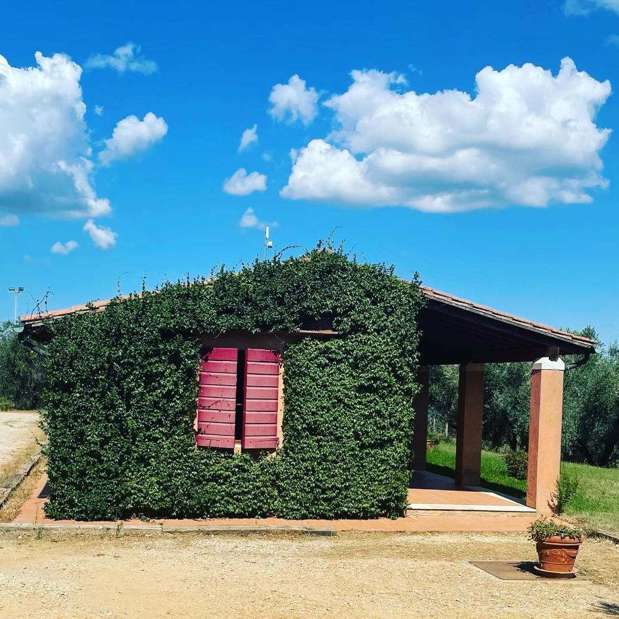 Tenuta Agricola Fraschiera Villa Massa Marittima Bagian luar foto