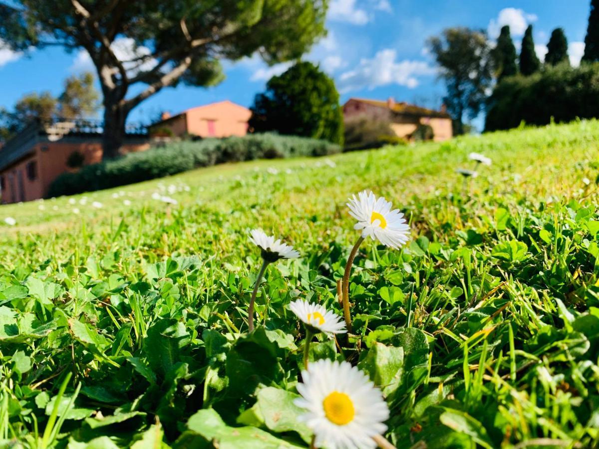 Tenuta Agricola Fraschiera Villa Massa Marittima Bagian luar foto