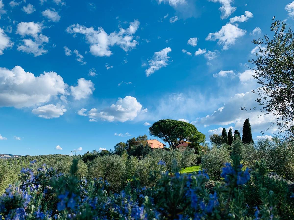 Tenuta Agricola Fraschiera Villa Massa Marittima Bagian luar foto