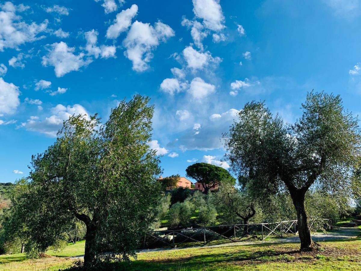 Tenuta Agricola Fraschiera Villa Massa Marittima Bagian luar foto