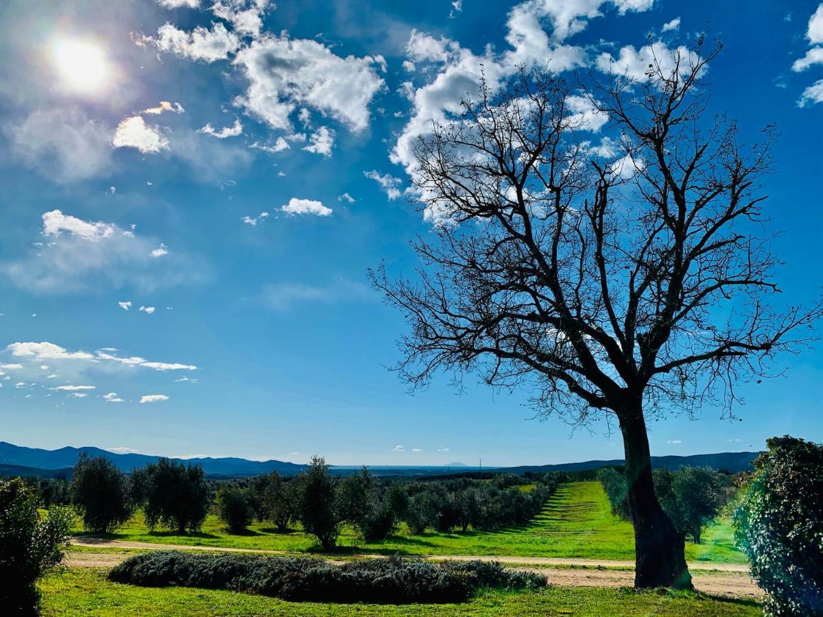Tenuta Agricola Fraschiera Villa Massa Marittima Bagian luar foto