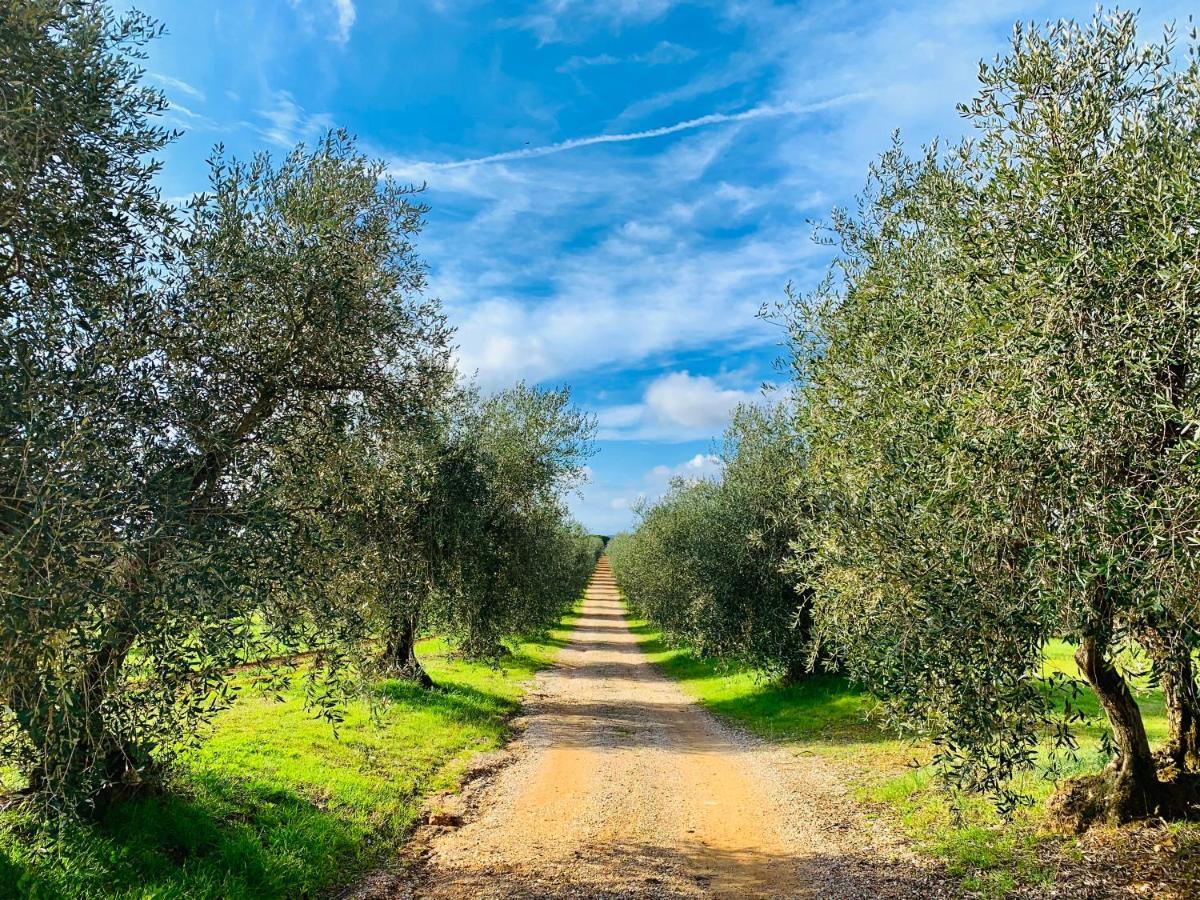 Tenuta Agricola Fraschiera Villa Massa Marittima Bagian luar foto