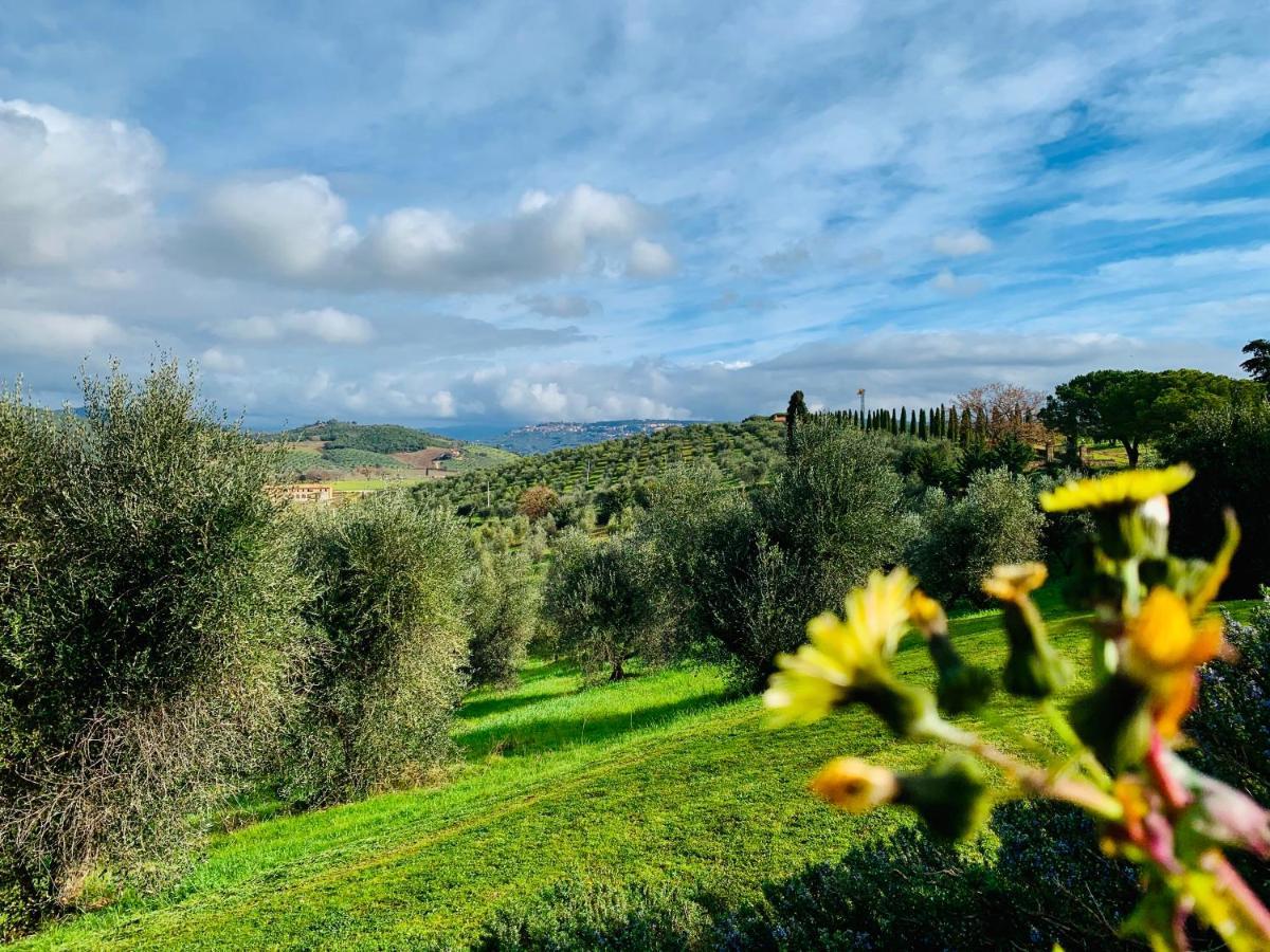 Tenuta Agricola Fraschiera Villa Massa Marittima Bagian luar foto
