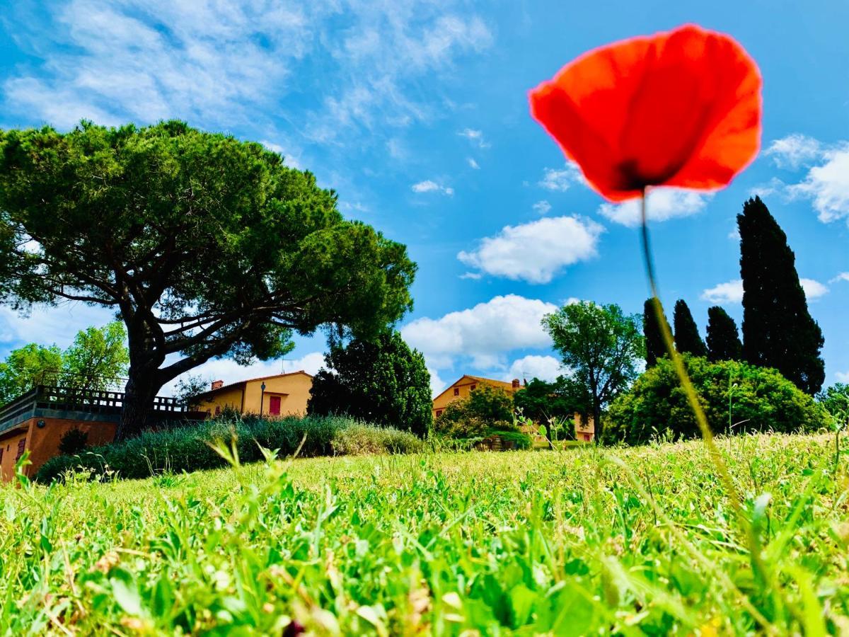 Tenuta Agricola Fraschiera Villa Massa Marittima Bagian luar foto