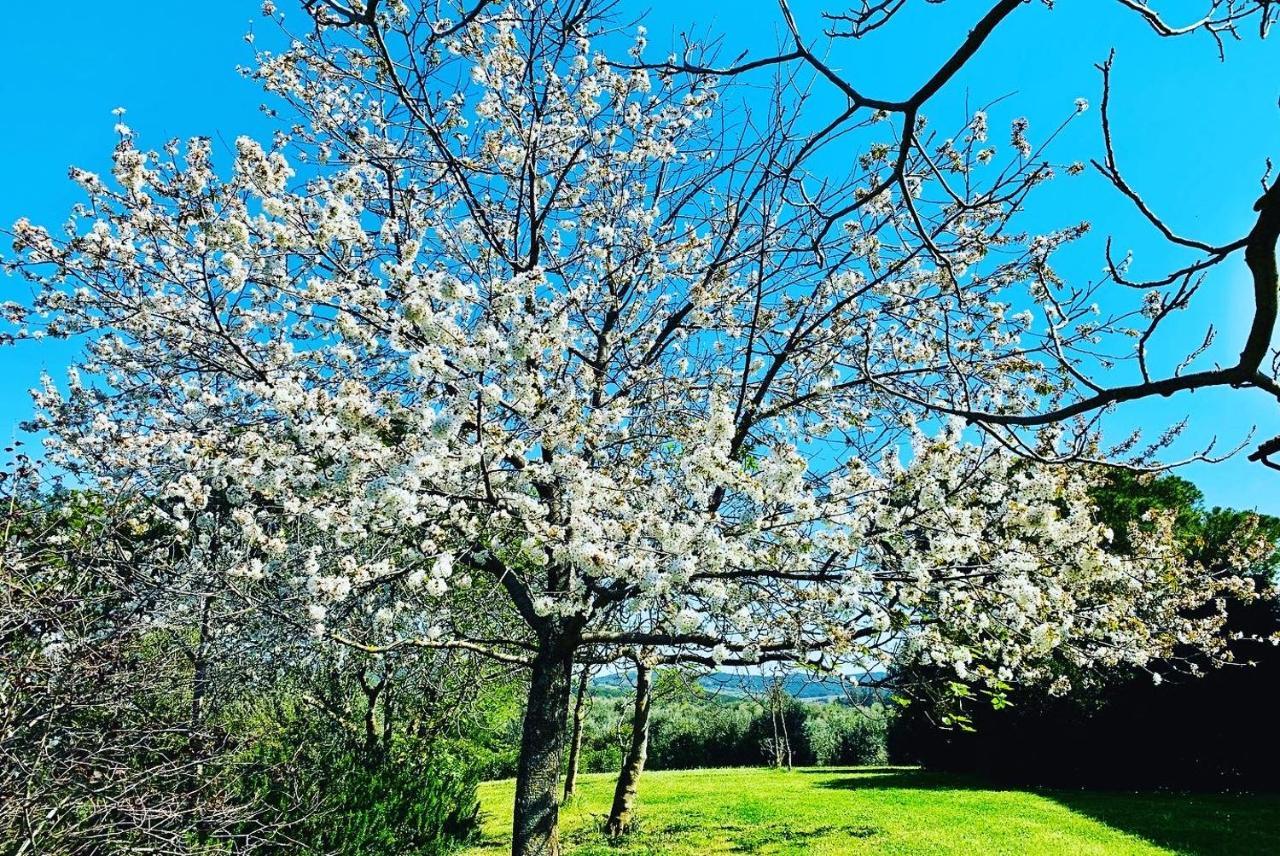 Tenuta Agricola Fraschiera Villa Massa Marittima Bagian luar foto