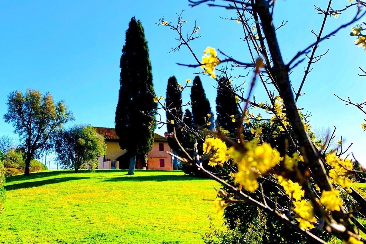 Tenuta Agricola Fraschiera Villa Massa Marittima Bagian luar foto
